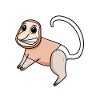 Proboscis Monkey Monkey Monkey