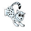 Snow Leopard Leopard
