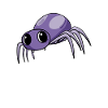 Baby Spider