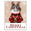 Christmas Siberian cat