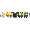 FPE 2022-23