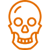 skull
