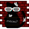 Not Nice Cat