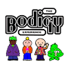 The Bodigy Experience
