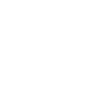 The Hamburger