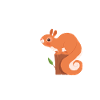 Squirrel