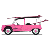 PINK SURFER 2