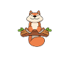 Squirrel