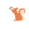 Squirrel