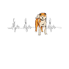 Akita Inu Gift Dogs