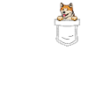 Akita Inu Gift Dogs