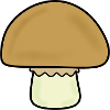 Pilz, Pilze