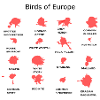 Oiseaux d’Europe