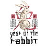 Chinese Rabbit Character New Year