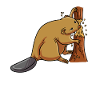 Gnawing on a tree Beaver
