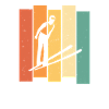 Retro Ski Flies
