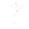 Cool cow with sunglasses