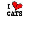 I love cats