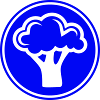 Broccoli Vegetables