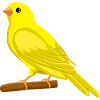 Kanarienvogel Singvogel, Vogel Design