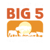 Jeg så Big 5. Hvad med dig?
