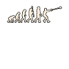 Evolution Of Hammer Throwing