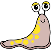 Garden Slug