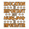 Hurling training