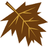 Brown Fall Leaf