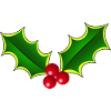 Holly