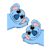 Koala Koalas