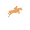 Horse riding love