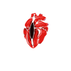 Cardiac Surgery Bypass Surgery
