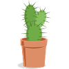 Prickly cactus