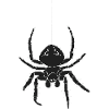Spider friend