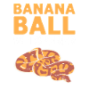 Bananenkugel-flüsterer. Herpetologen.