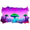 Mushroom World 1