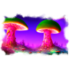 Mushrooms World 2