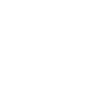 White King Échecs