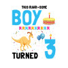 Parasaurolophus Boys Design Birthday Party