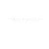 Trial Lawyer Lawyer Lawyer