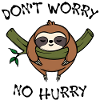 Jungle Animal Statement Sloth Sleep Lazy