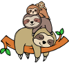 Sloth jungle dwellers sleep lazily jungle
