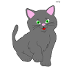 Gray kitten