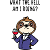 Mammal Animal Statement Relax Sloth Chill