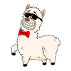 Cool Alpaca