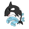 Killer whale