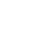 Different Owls Species - Birds