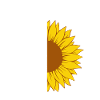 Sunflower of inclusion