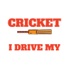 Cricket Coach Player